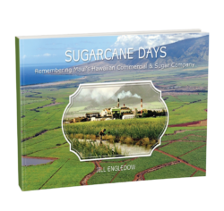 Sugarcane - TRANSPARENT BACKGROUND WITHOUT SHADOWS